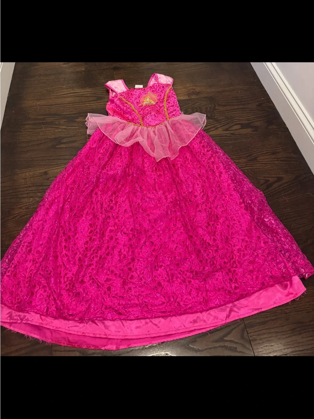 Disney Hot Pink Lace Tulle Princess Gown